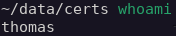 Prompt no git